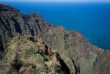 Hawaii - Kauai - Randonnée Awa'awapuhi dans la forêt de Koke'e