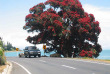 Nouvelle-Zélande - Péninsule de Coromandel