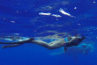 Polynésie française - Bora Bora - Observation des Baleines