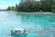 Polynésie française - Moorea - Découverte de la faune marine, lagon et océan