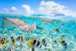 Polynésie - Croisière dans l'archipel de la Société - Bora Bora © Shutterstock, Blueorange Studio