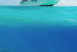 Polynésie - Tikehau - Snorkeling © Tikehau Plongée