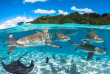 Polynésie française - Tahiti - Randonnée Palmée Guidée Lagon © Greg Lecoeur