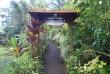 Polynésie - Tahiti - Vanira Lodge
