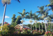 Vanuatu - Tanna - Tanna Evergreen Resort - Garden Bungalow