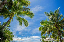 Fidji - Iles Mamanuca - Likuliku Lagoon Resort - Piscine