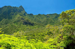 Hawaii - Maui - Iao Valley ©Shutterstock, Vacclav