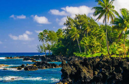 Hawaii - Maui - Route d'Hana ©Shutterstock, Donland