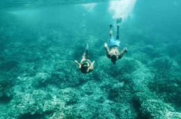 Hawaii - Maui - Croisière snorkeling à Molokini © Hawaii Tourism Authority, Heather Goodman