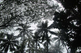 Iles Cook - Mangaia - Visite du Jardin Tropical Rangiue - © Mangaia Villas