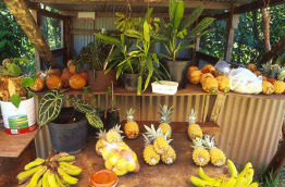 Nouvelle-Calédonie - Etal de fruits © NCPTS
