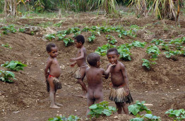 Papouasie-Nouvelle-Guinée - Tari - Ambua Lodge © Trans Niugini Tours