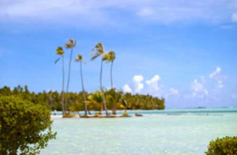 Polynésie française - Taha'a - Le Taha'a by Pearl Resorts
