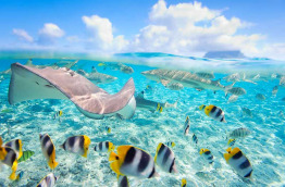 Polynésie française - Bora Bora © Shutterstock, Blue Orange Studio