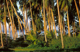 Polynésie - Croisière dans l'archipel de la Société - Taha'a © Tahiti Tourisme, Cécile Flipo