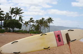 Tour du monde - Hawai - Surf - © Hawaii Tourism Authority