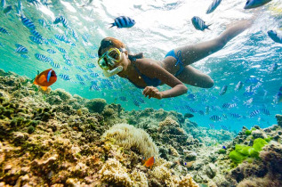 Fidji - Tropical Tempter - Snorkeling