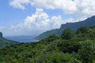 Polynésie française - Moorea © Tahiti Tourisme