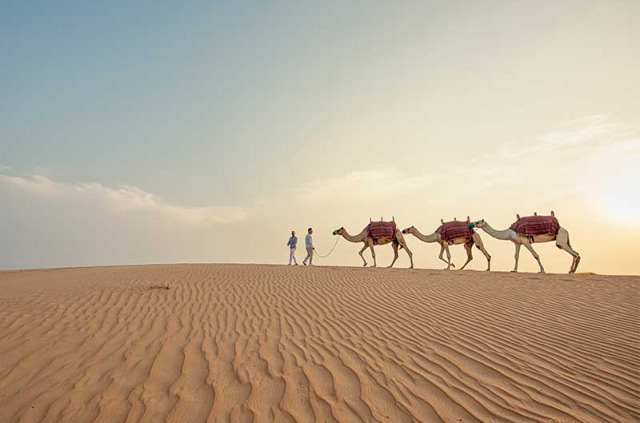 Émirats Arabes Unis - Dubai - Journée et dîner dans le désert de Dubai © DTCM