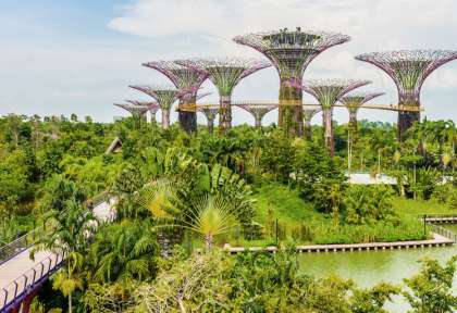 Gardens by the Bay - Singapour © Everything - Shutterstock