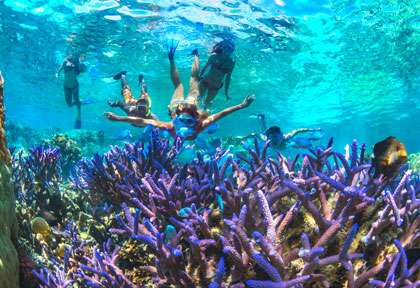 Le corail en Nouvelle-Calédonie