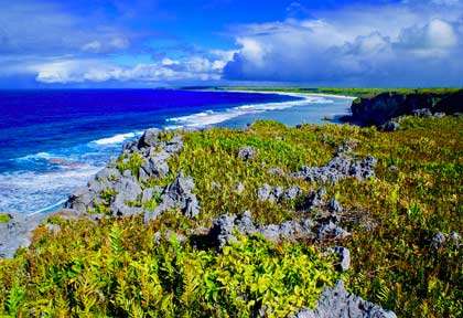 Henderson Island à Pitcairn