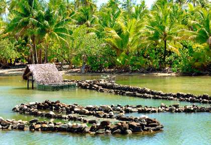 Piège à poisson de huahine
