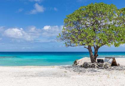 Rangiroa dans les iles tuamotu