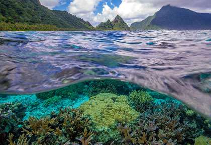 Récif corallien à American Samoa