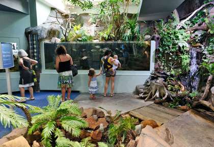 Aquarium des lagons de Nouméa