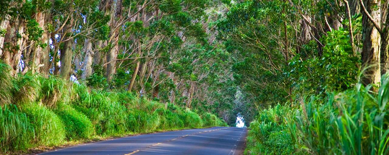 Kauai - Route de Koloa à Poipu © HTA - Tor Johnson