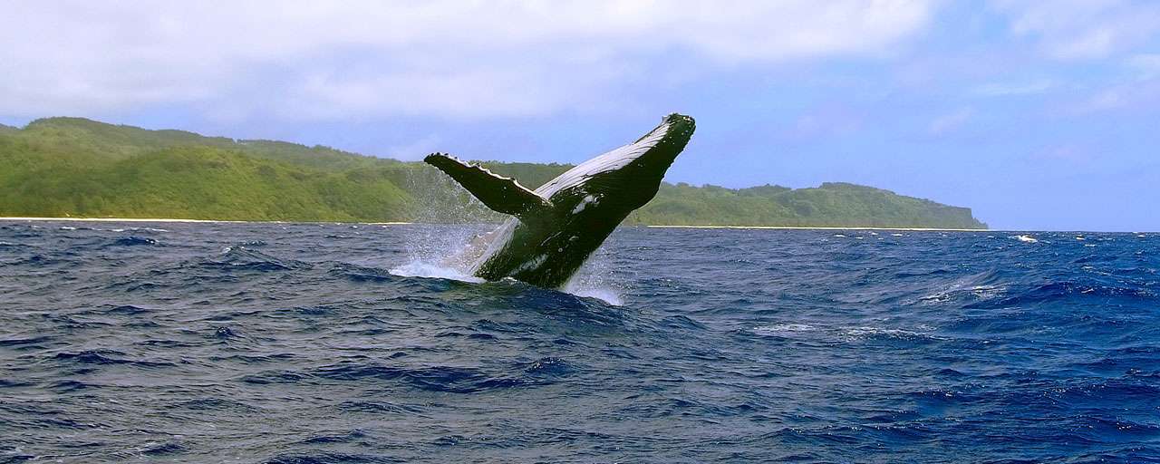 Iles Australes Rurutu