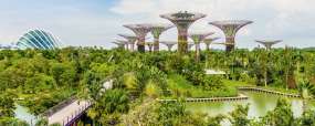 Gardens by the Bay - Singapour © Everything - Shutterstock