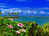 Fidji - Coral Coast - The Naviti Resort