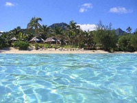 Iles Cook - Rarotonga - Palm Grove