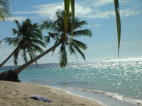 Samoa - Savai'i - Tanu Beach Fales