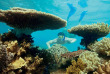 Tour du monde - Australie
