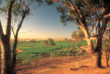 Tour du monde - Australie - Barossa Valley © Tourism New South Wales