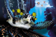 Tour du monde - Australie - Sydney - Imax © Tourism New South Wales