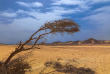 Egypte - Marsa Alam - Marsa Shagra Village - Excursion dans le désert © Christian Von Falken Plachecki