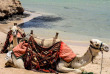 Egypte - Marsa Alam - Marsa Shagra Village © Ahmed Magdy