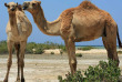Egypte - Marsa Alam - Marsa Shagra Village © Wim Hoogland