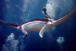 Egypte - Marsa Alam - Red Sea Diving Safari - Marsa Shagra