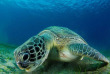 Egypte - Hamata - Red Sea Diving Safari © Frederic Panza