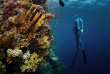Egypte - Stage Apnée Marsa Shagra © Shutterstock - Mikhail Dudarev