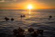 Fidji - Coconut Cruiser - Tubing au coucher de soleil