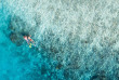 Fidji - Croisière Captain Cook Cruises - Snorkeling © David Kirkland