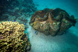 Fidji - Croisière Captain Cook Cruises - Archipel de Lau et Kadavu