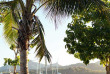 Fidji - Iles Yasawa - Nanuya Island Resort