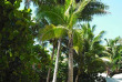 Fidji - Kadavu - Matana Beach Resort